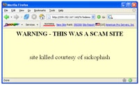 Warning: this was a scam site